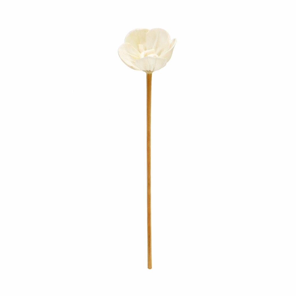 Diffuseur rotin bâton - 24 Cm