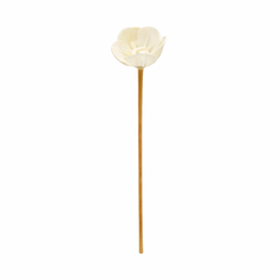 Diffuseur rotin bâton - 24 Cm