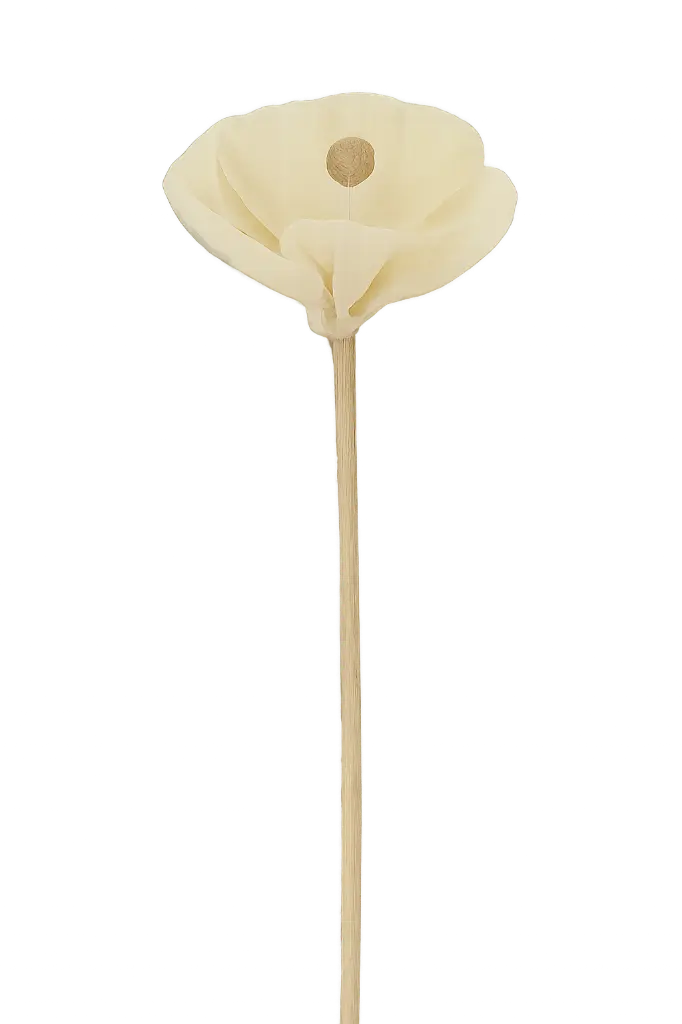 Diffuseur rotin fleur - 23 Cm