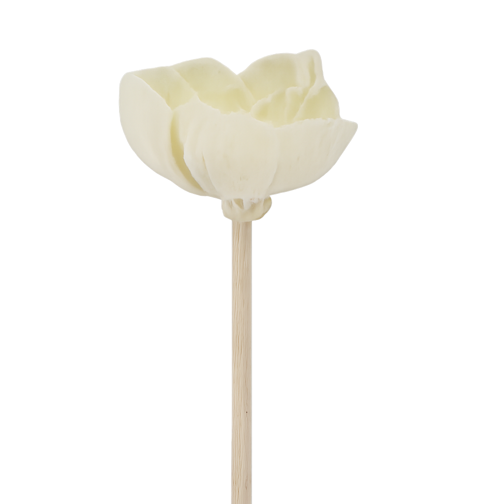 Diffuseur rotin fleur - 23 Cm