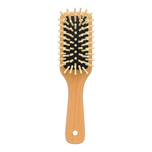 [NAB007] Brosse pneumatique - Manche et Picots Bois de Lotus