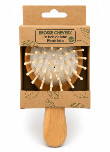 [NAB010] Brosse pneumatique - Manche et Picots Bois de Lotus