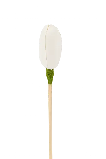 [AROAC0030] Diffuseur rotin fleur - 24 Cm