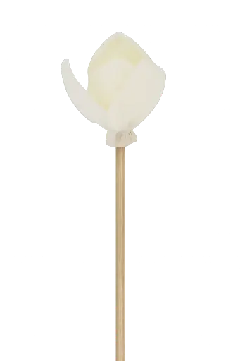 [AROAC0032] Rattan flower diffuser stick - 23cm