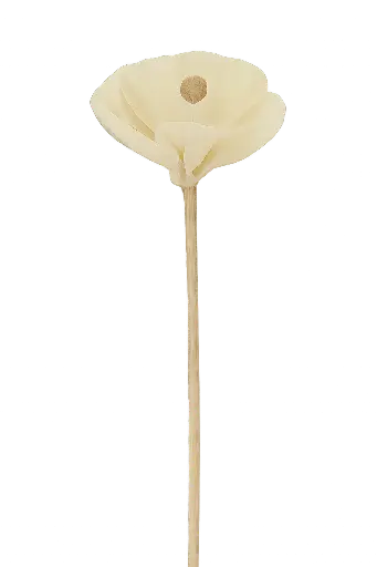 [AROAC0033] Rattan flower diffuser stick - 23cm